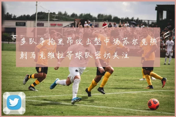 多队争抢里昂攻击型中场苏尔克热刺马竞维拉等球队密切关注